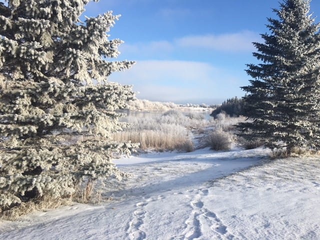 The cold air often stops me from getting outside enough