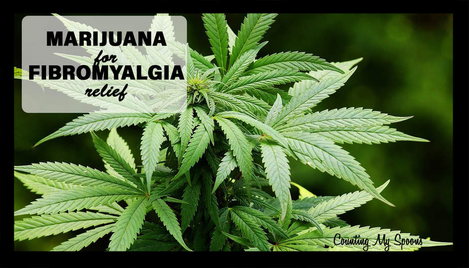 Marijuana For Fibromyalgia: Does It Work? - Counting My Spoons