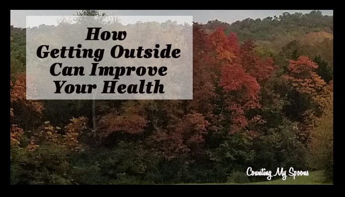 How getting outside among the trees can improve your mental and physical health